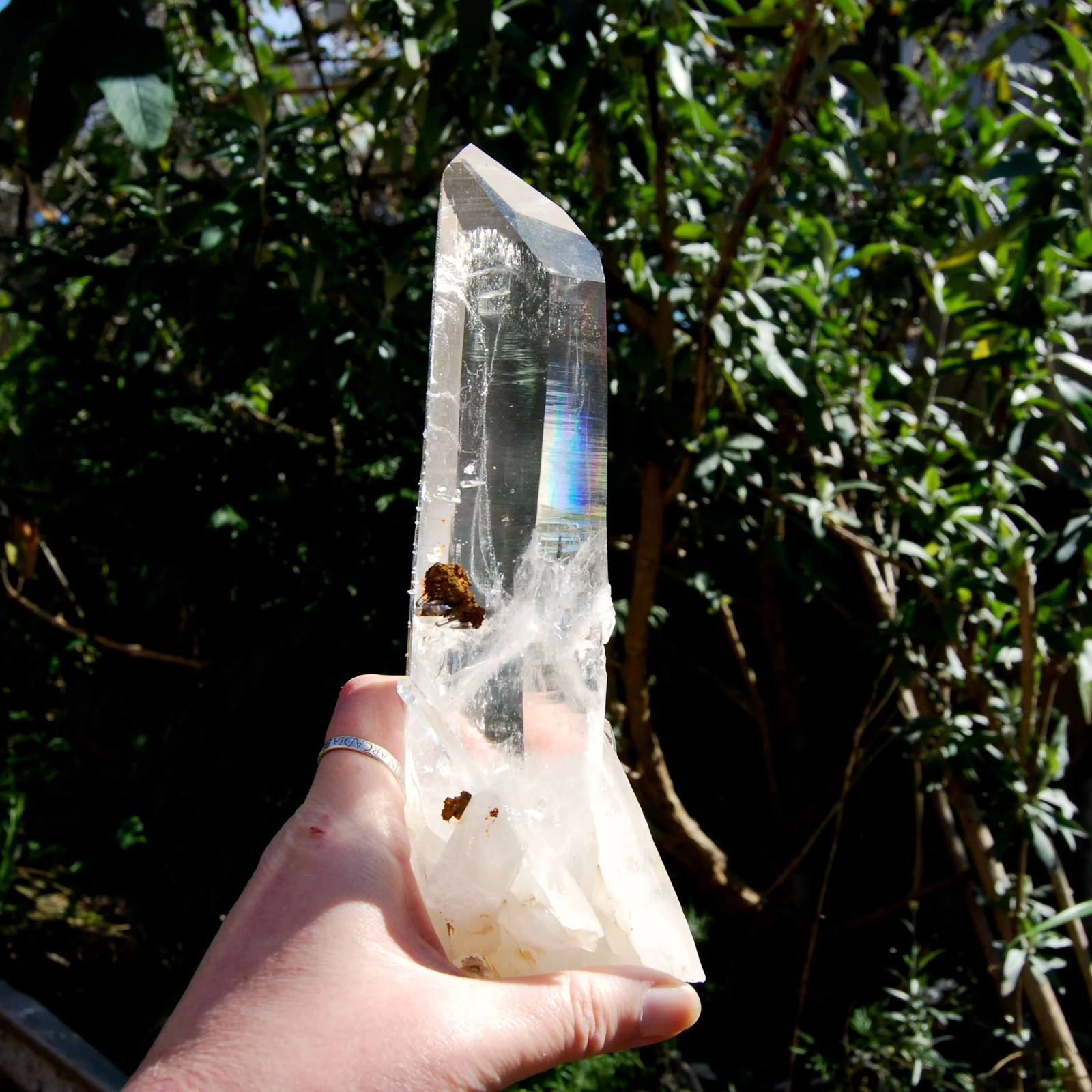 8.5in 740g XL Dow Channeler Blades of Light Lemurian Crystal, Bridge Cross Recor 8.5in 740g XL Dow Channeler Blades of Light Lemurian Crystal, Bridge Cross Recor