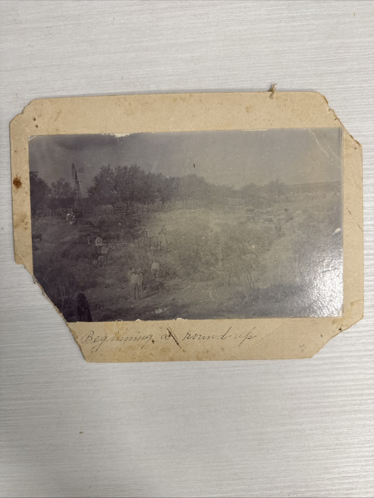 ORIGINAL Texas Cowboy Photograph Beginning A Round-Up Cattle Drive Christour, TX