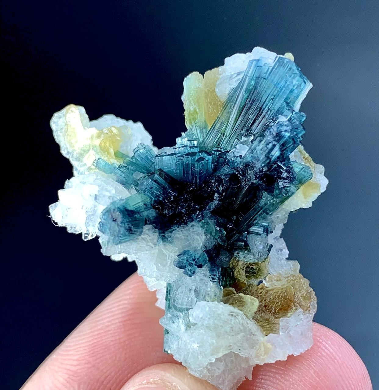 48 Carat Indicolite Tourmaline Crystal Specimen From Afghanistan 