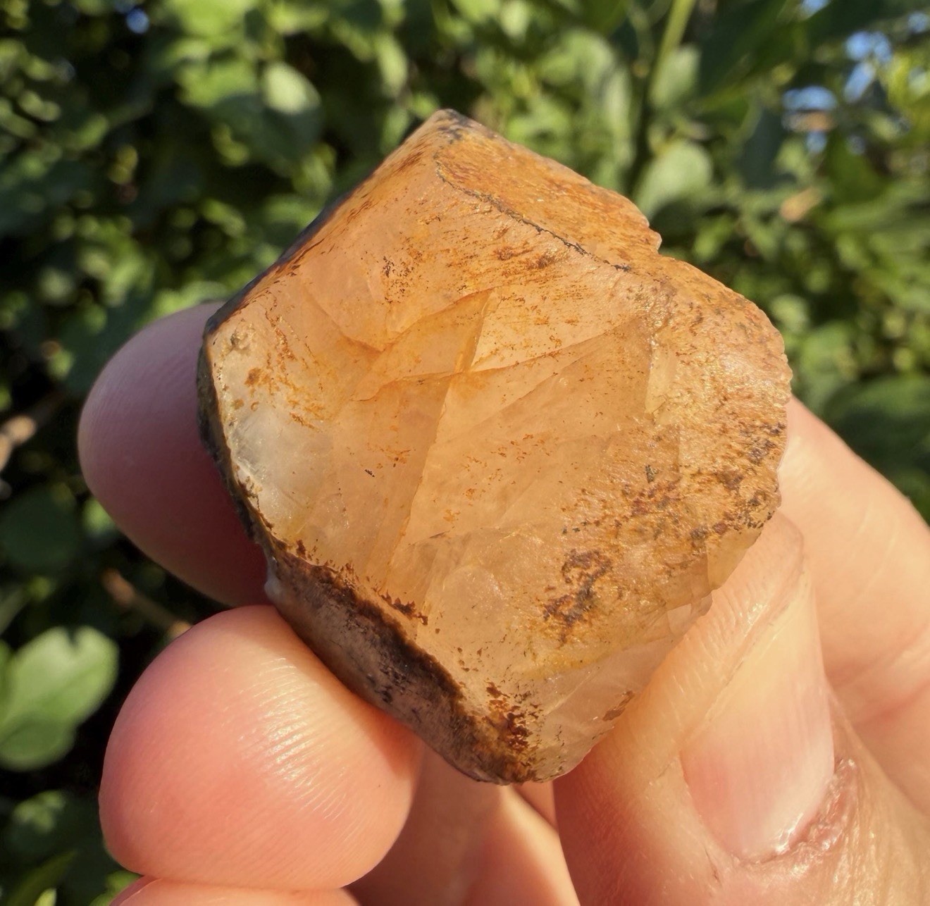 Golden Brazilian Phenacite Crystal: High-Vibration Gemstone, 23.76g/118.8ct