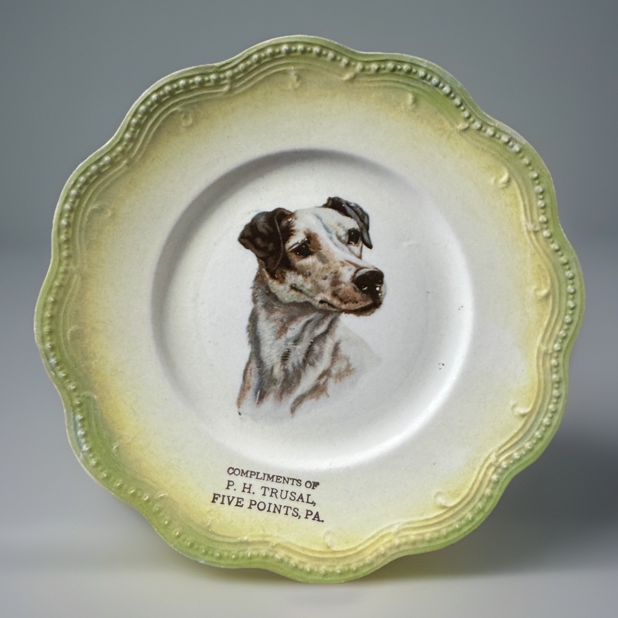 Antique E.F. & Co England Dog Plate Fox Terrier Advertising Trusal PA 19th C Antique E.F. & Co England Dog Plate Fox Terrier Advertising Trusal PA 19th C