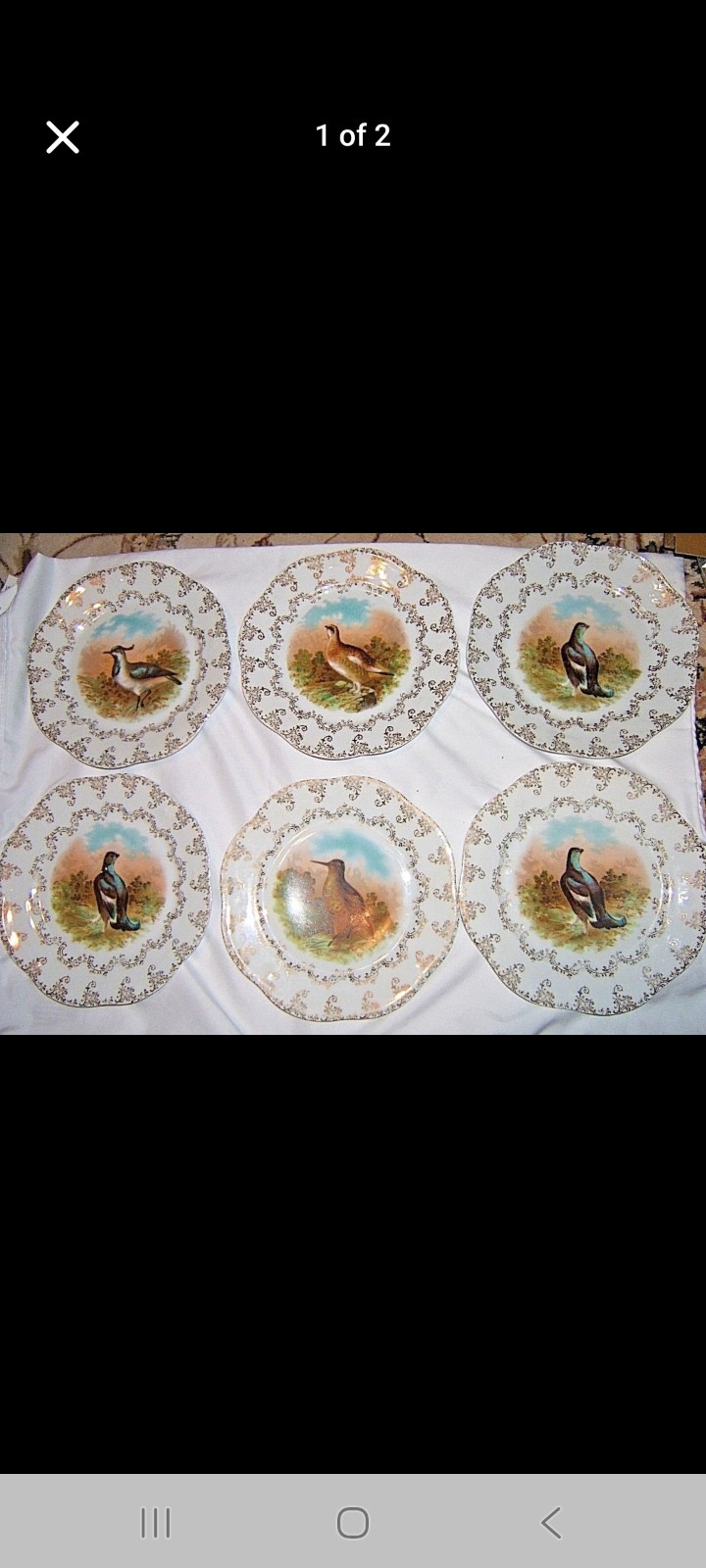 Game Plate Set Game Plate Set