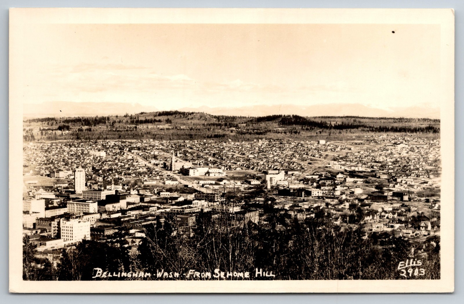 RPPC Washington State Bellingham 1950\'s View from SE Home Hill Photo Postcard