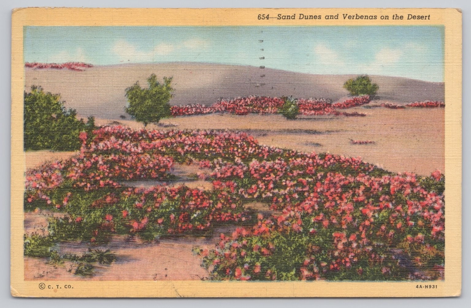Vintage Linen Postcard Sand Dunes and Verbenas on the Desert C.T. Co.