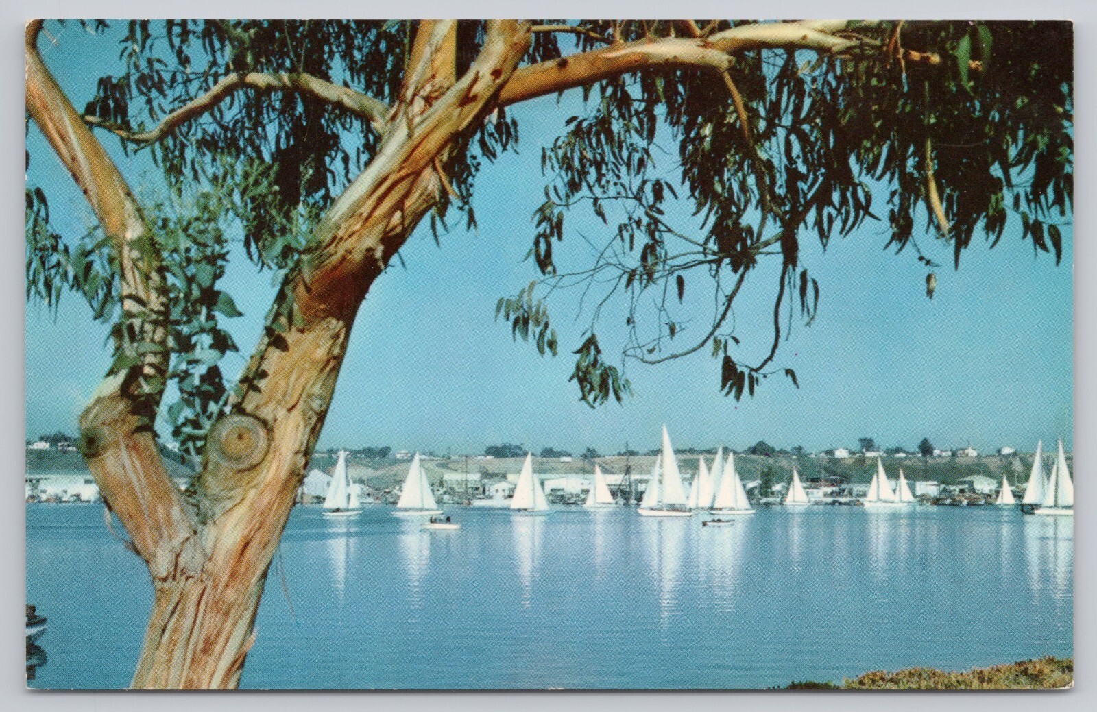 Newport Beach California, Lido Isle Regatta Days Sailboats, Vintage Postcard Newport Beach California, Lido Isle Regatta Days Sailboats, Vintage Postcard