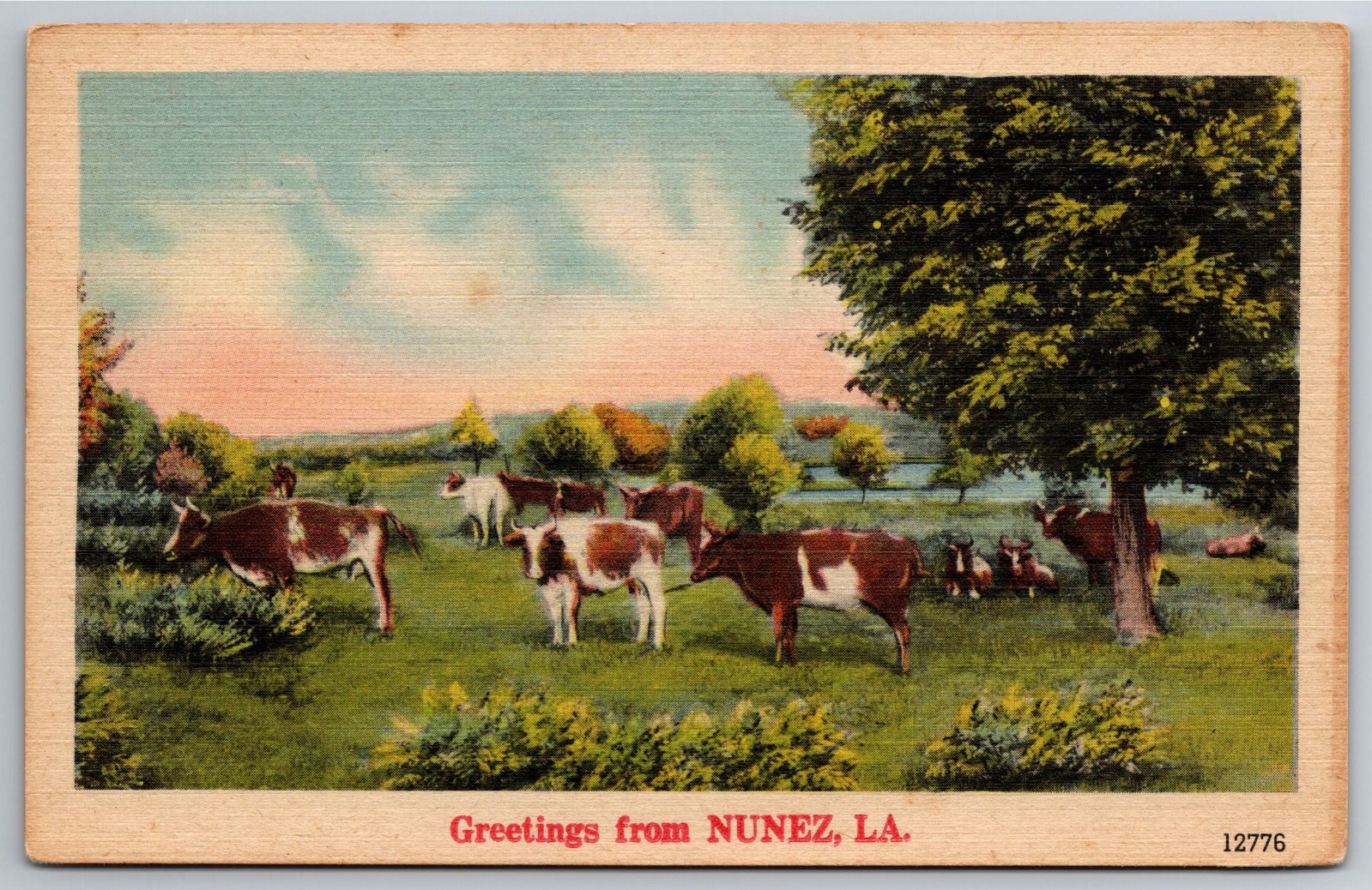 LA, Nunez, Greetings, Cattle, Cows, Country Scene, Vintage Postcard LA, Nunez, Greetings, Cattle, Cows, Country Scene, Vintage Postcard