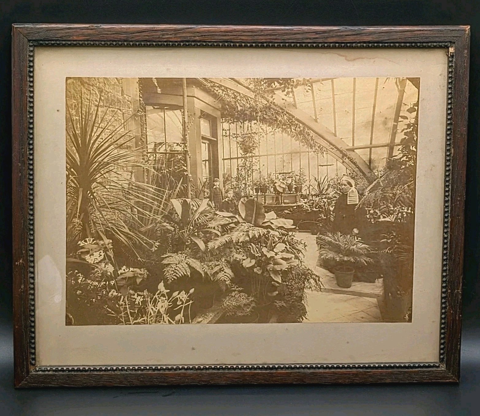 1890s Victorian Estate Conservatory Photo Botanical Carved Wood Frame Antique 1890s Victorian Estate Conservatory Photo Botanical Carved Wood Frame Antique