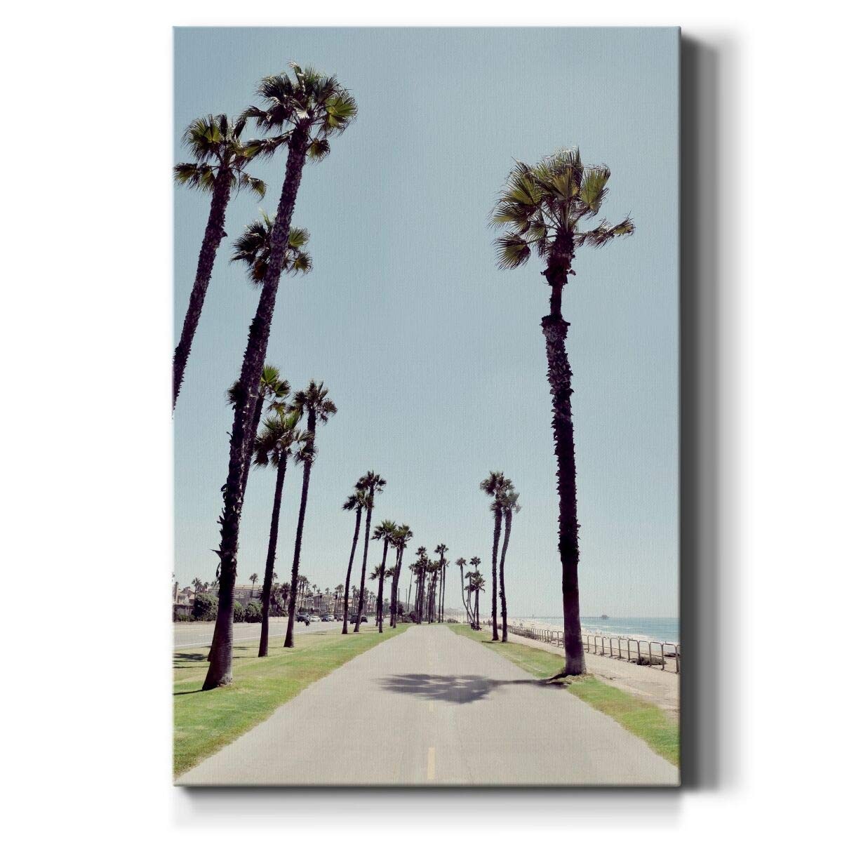 Renditions Gallery Palm Tree Bike Path Wall Art WC17-42851-2436