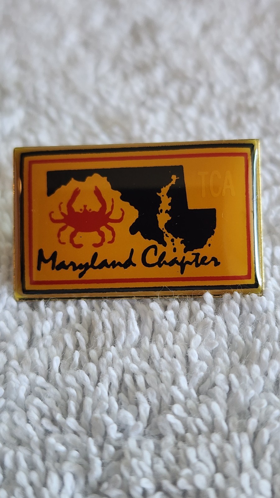 Vintage TCA Train Collectors Association Maryland Chapter Pin Union Made USA
