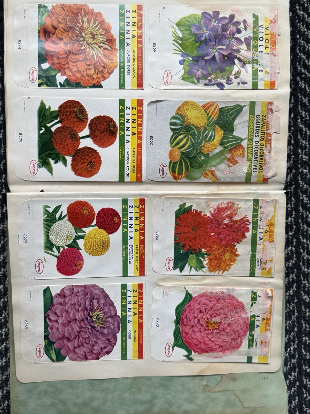 VTG rare 1950s-60s Asgrow Seed Salesman Sample Book 280+ Labels Accopress Binder