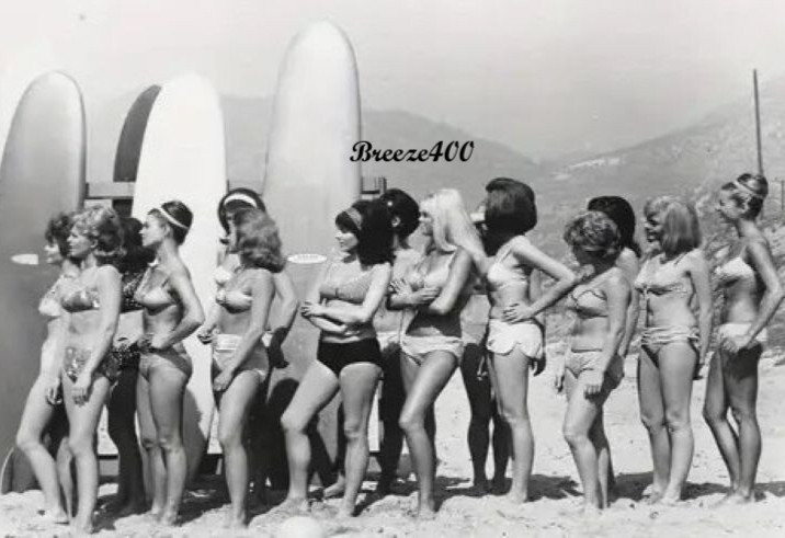 Americana Photo/Early 1960\'s SURFIN SAFARI BIKINI BABES ON BEACH/B&W Photo Rpt.