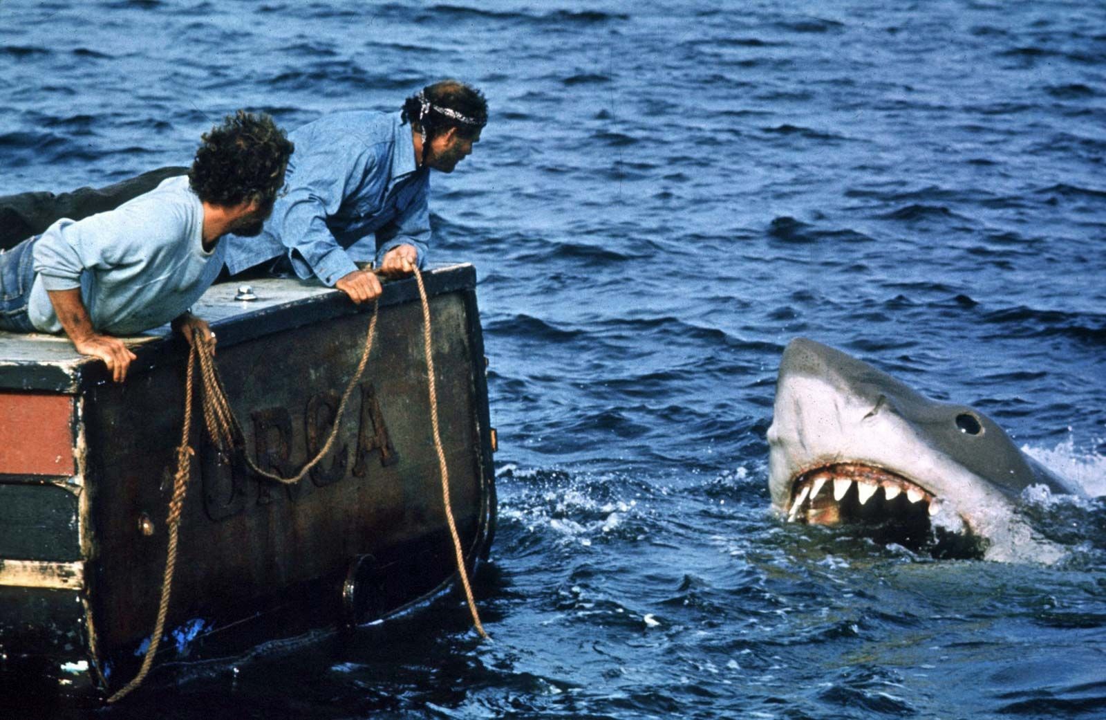 Behind-the-scenes footage of the movie Shark (Jaws, 1975), Photo 8.5x11 Luster Behind-the-scenes footage of the movie Shark (Jaws, 1975), Photo 8.5x11 Luster