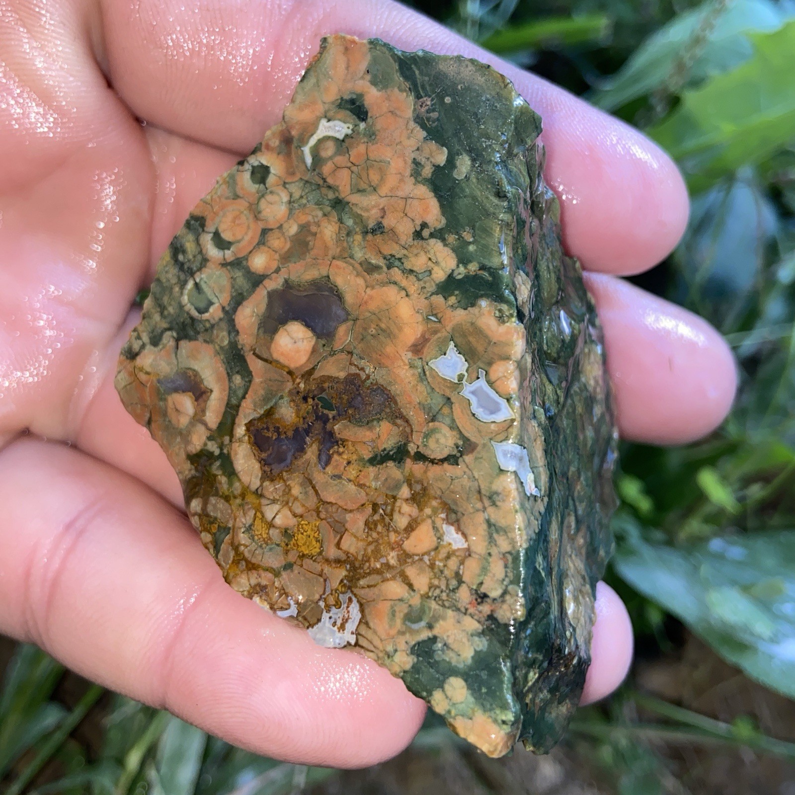 Beautiful Rainforest Jasper Lapidary Rough Stone 3.41 Oz