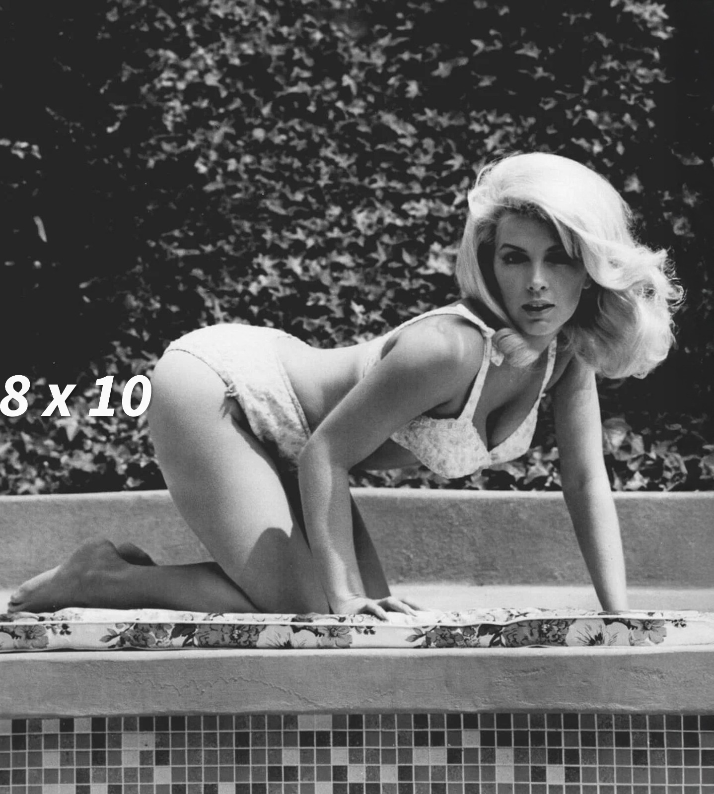 STELLA STEVENS 8x10 Photo Gorgeous Hollywood Actress High Quality Art Print RP STELLA STEVENS 8x10 Photo Gorgeous Hollywood Actress High Quality Art Print RP
