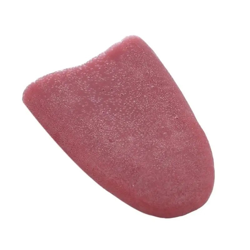 Halloween Fake Tongue Plastic Rubber Tongue Realistic Practical Joke Funny Prank