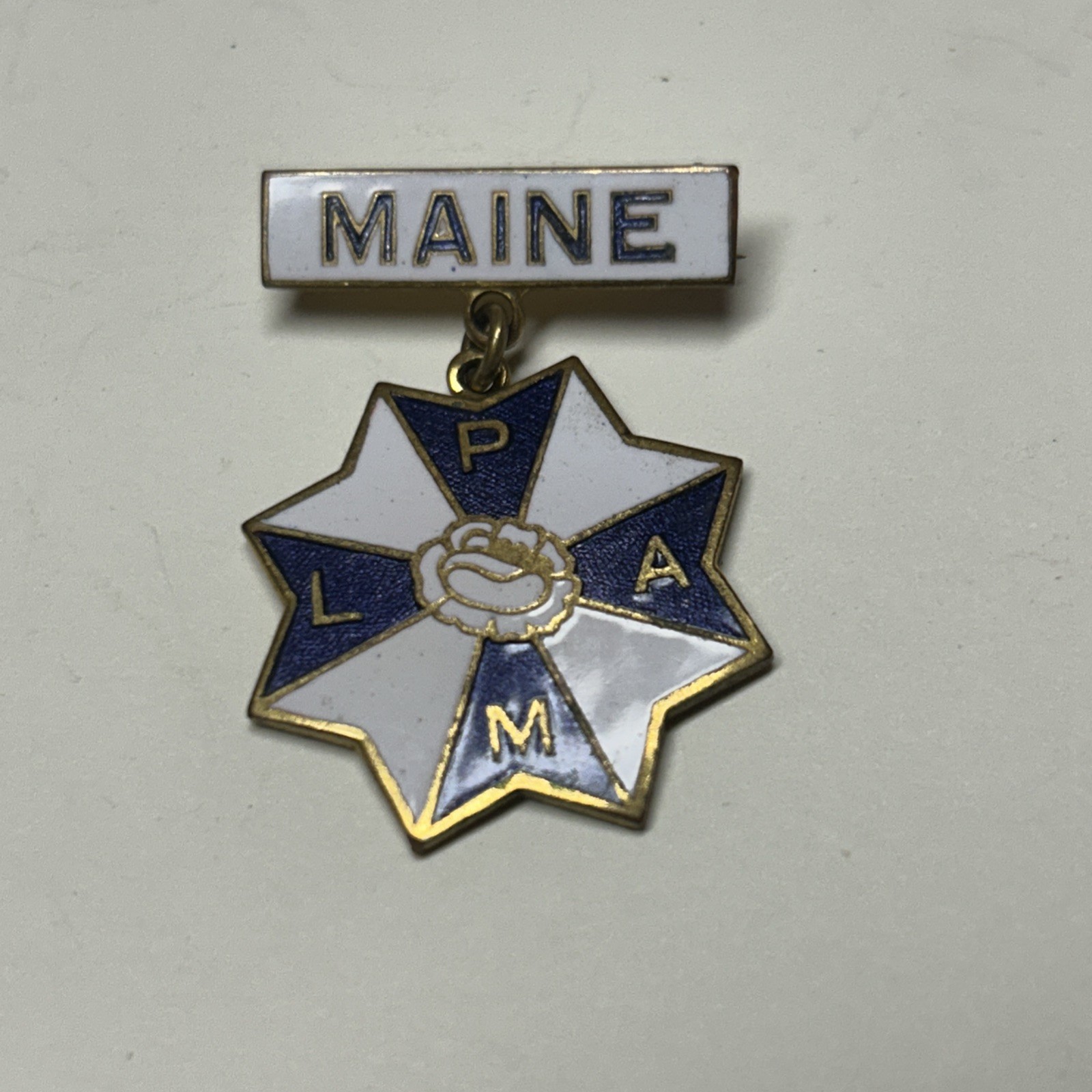 Vintage Maine Odd Fellows Badge Ladies Auxiliary Pin Enamel Vintage Maine Odd Fellows Badge Ladies Auxiliary Pin Enamel