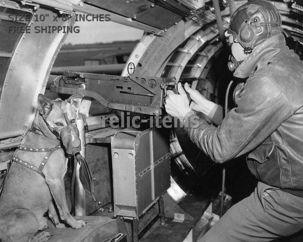 WW2 8x10 Photo US AIR FORCE B-17 FLYING FORTRESS GUNNER W DOG O6880 WW2 8x10 Photo US AIR FORCE B-17 FLYING FORTRESS GUNNER W DOG O6880
