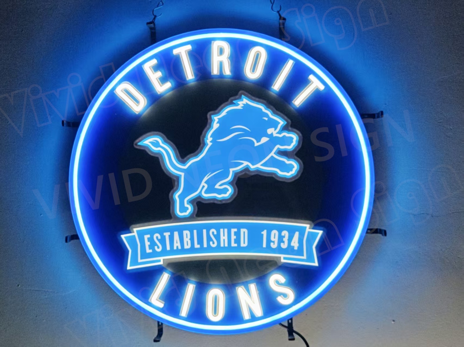 Detroit Lions Team Est 1934 24\