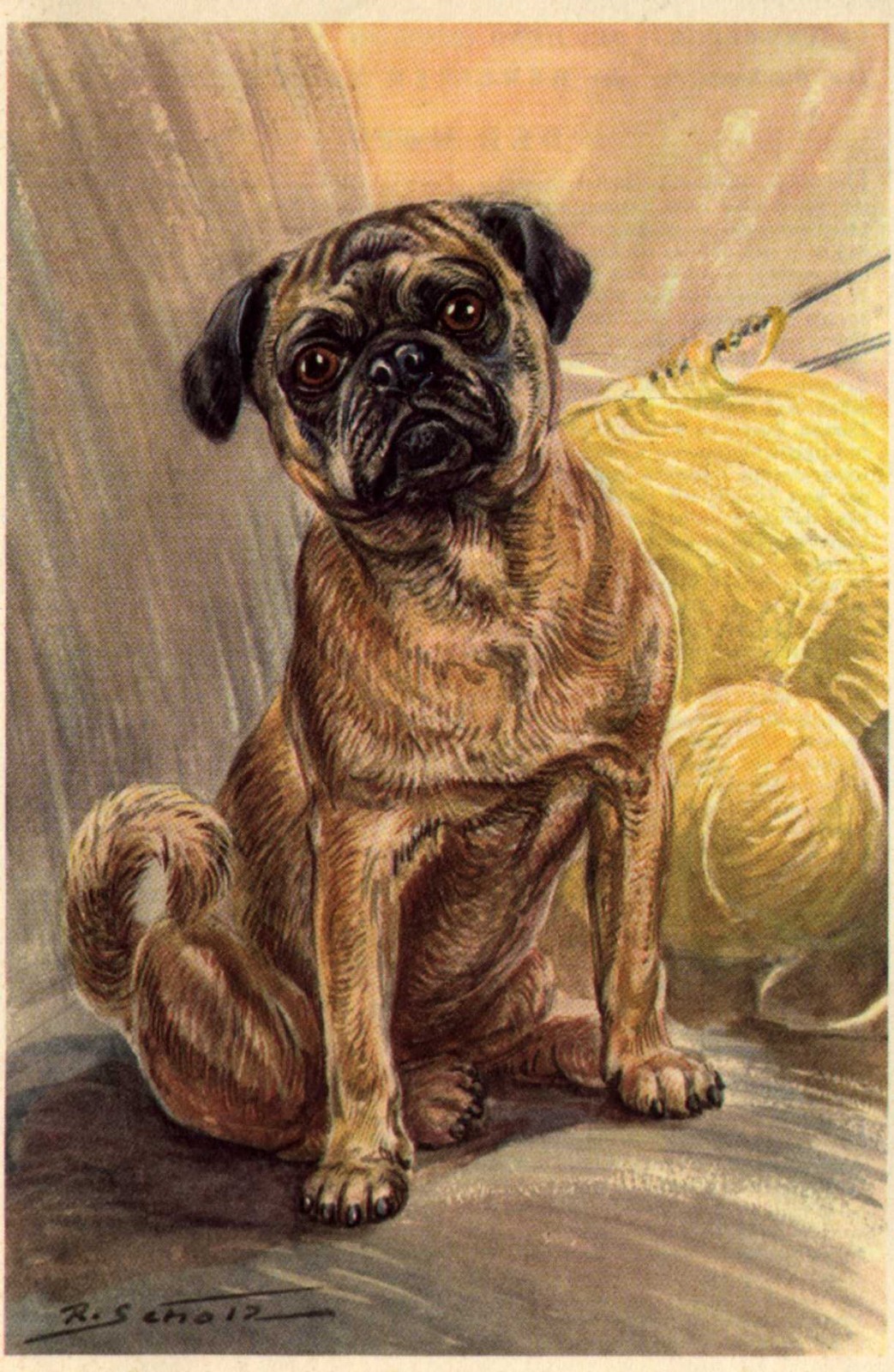 Pug - CUSTOM MATTED Small 5 x 7 - Dog Art Print - German : NEW U