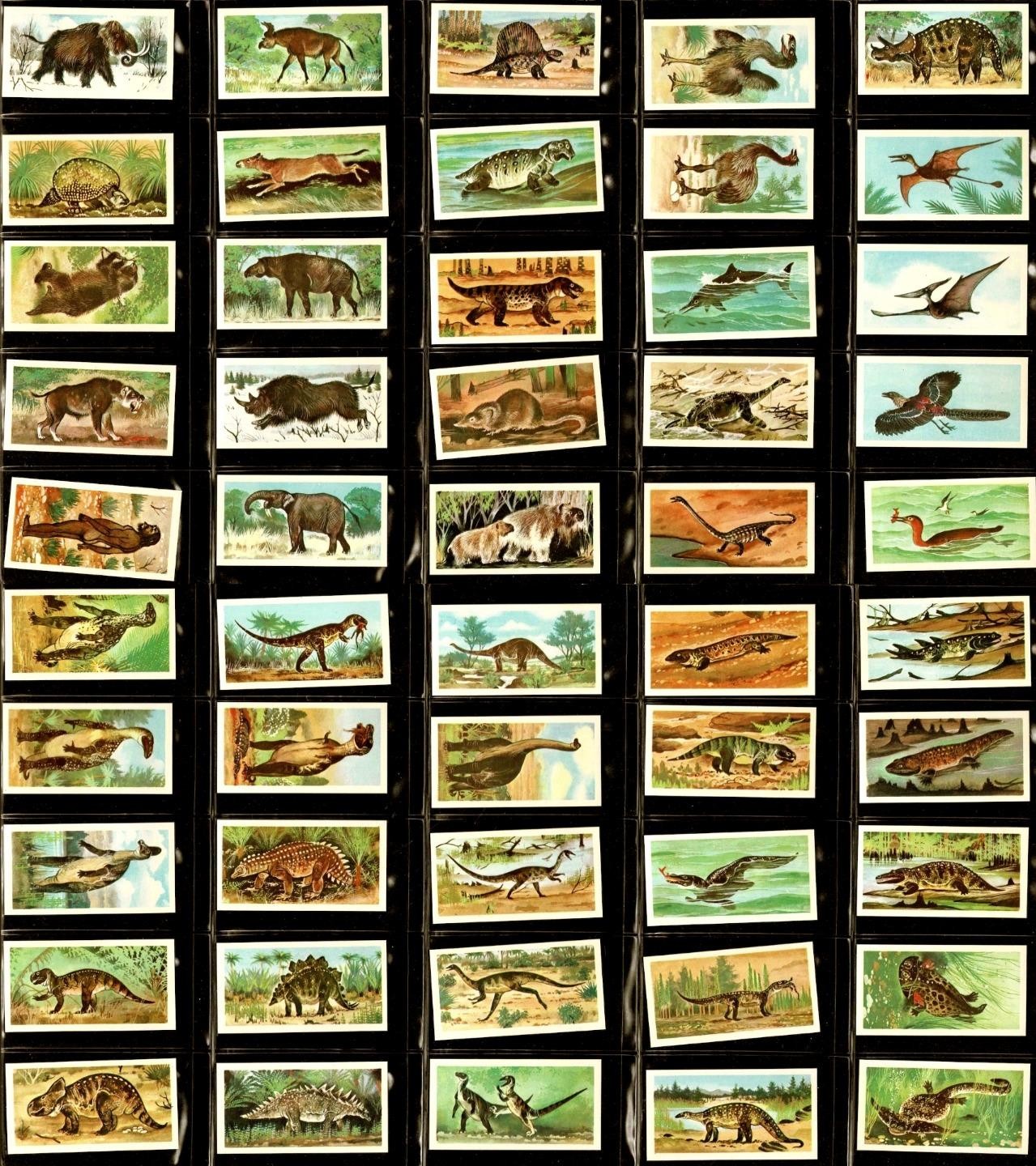 Vintage 1972 Brooke Bond Tea Prehistoric Animals Complete Set 50 Cards Dinosaurs