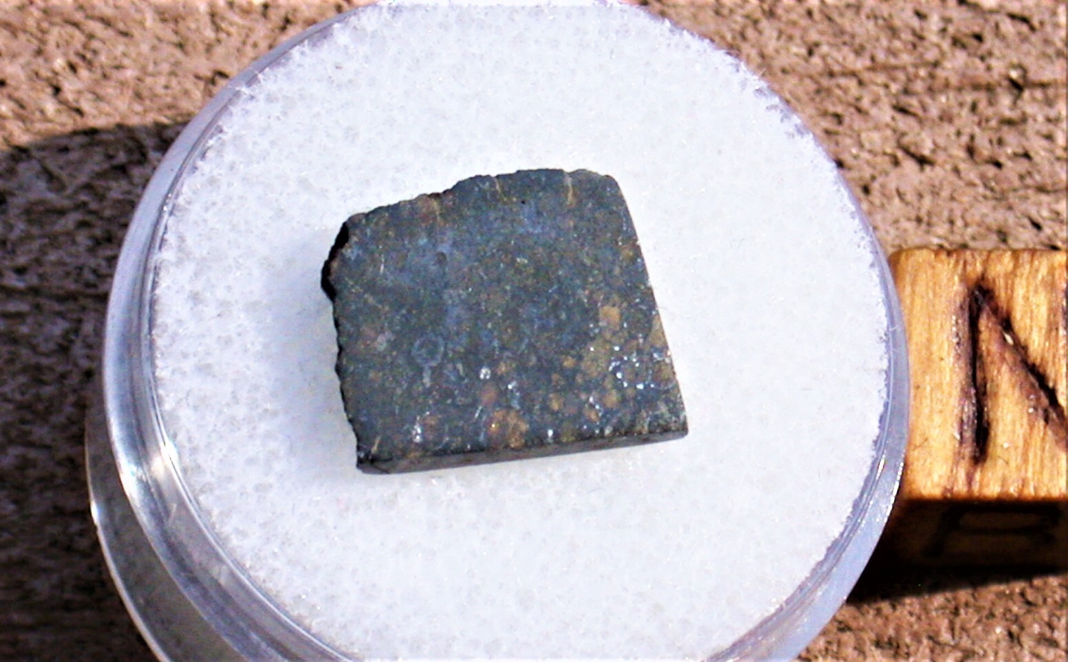 Rare DHO 008 L3.3 meteorite part slice - 0.55 g