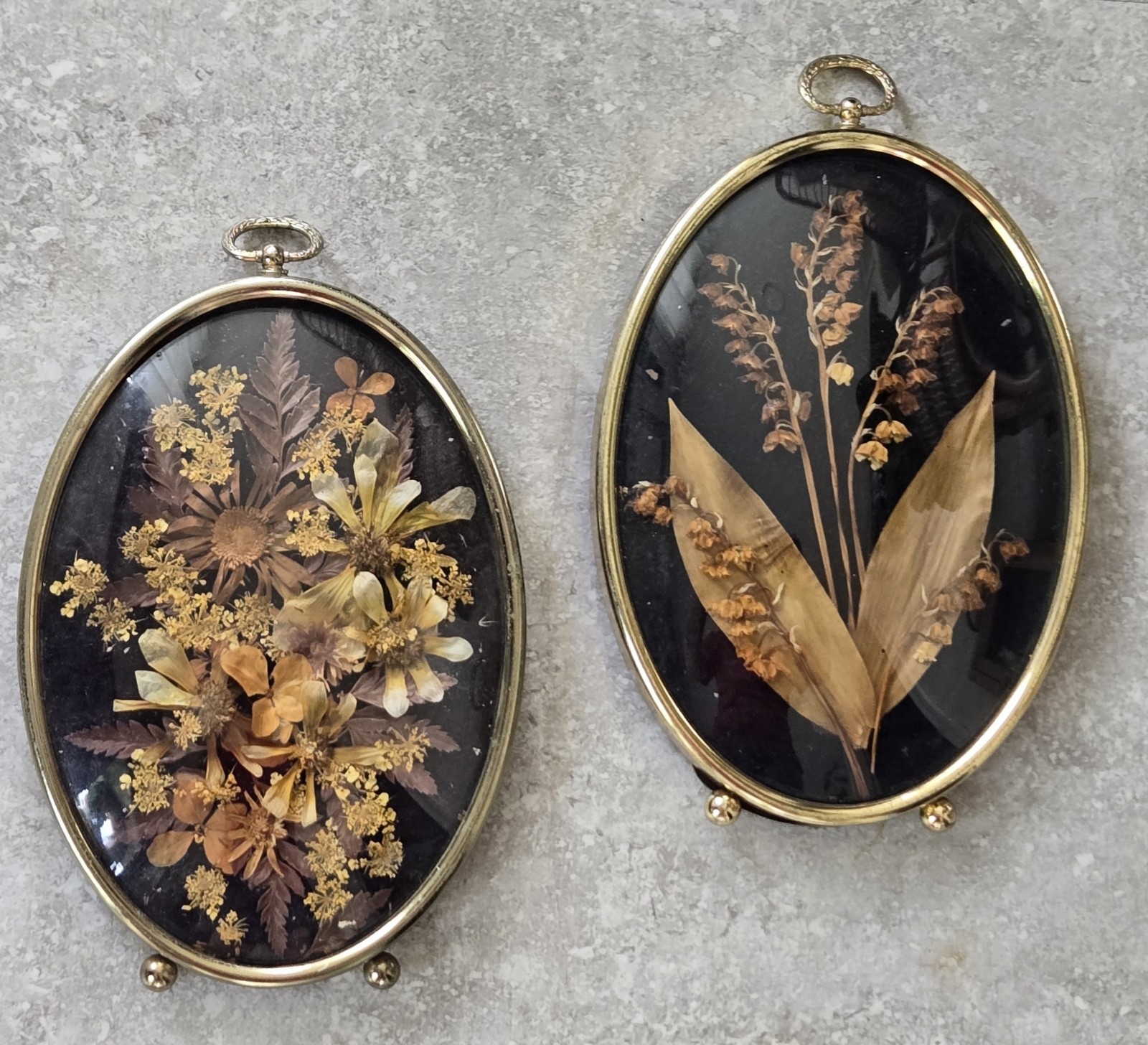Vtg Pair Belgian CideArt Farmhouse Gallery Wall Art Dried Flowers Convex Glass
