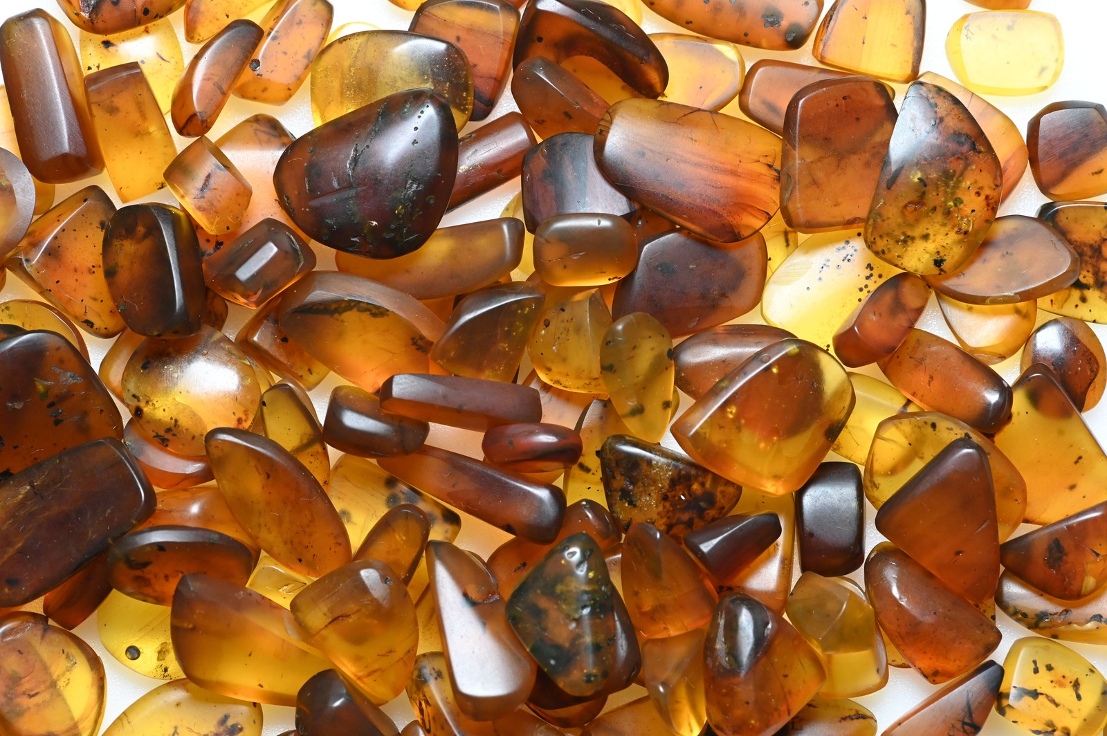 Lot of 50 amber preforms - Every piece with insects Guaranteed genuine