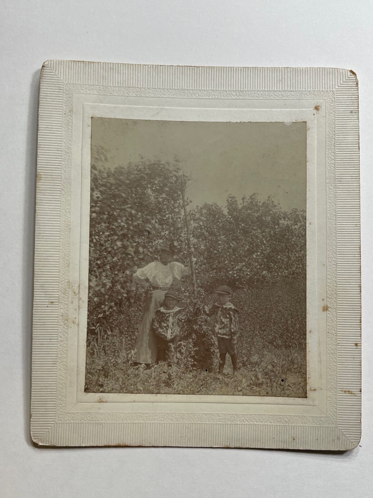 Antique 1898 Cabinet Card Photo of A Lady and 2 Little Boys (Poka-Dot Shirts)