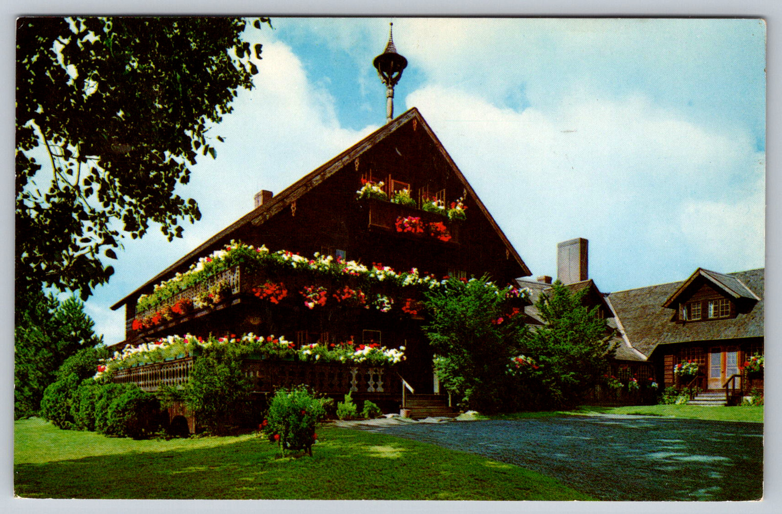 c1960s Trapp Family Lodge Stowe Vermont Flowers Scenic Postcard
