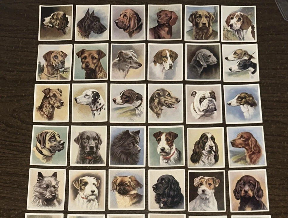 1939 GODFREY PHILLIPS LTD. OUR DOGS 30 DIFFERENT TOBACCO CARD SET