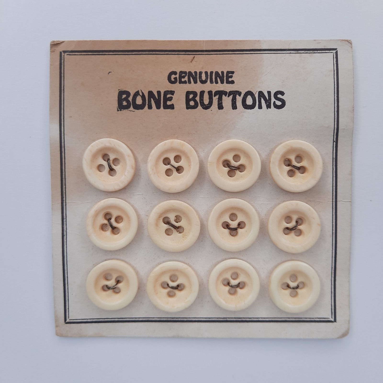 Vintage Genuine Bone Buttons on Original Card 12 Buttons NOS