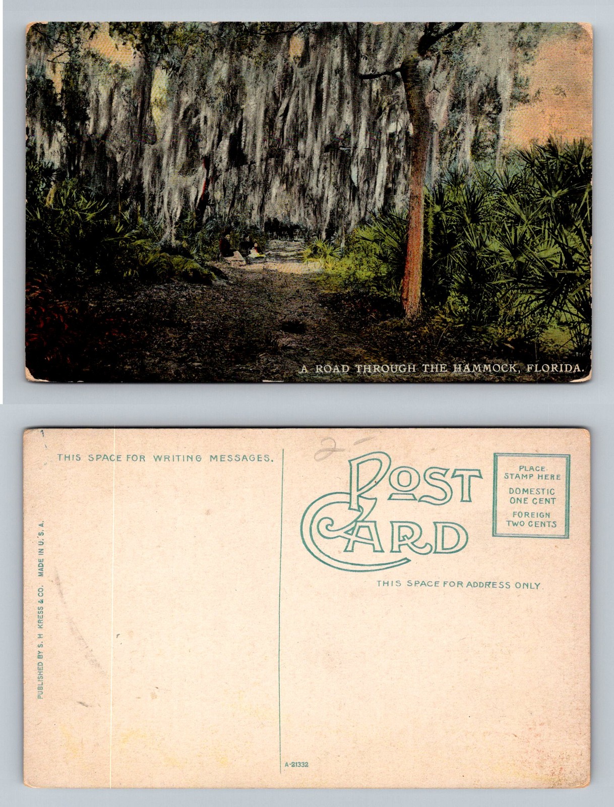 FL-Florida, Road Through The Hammock Spanish Moss Covered Trees Vintage Postcard