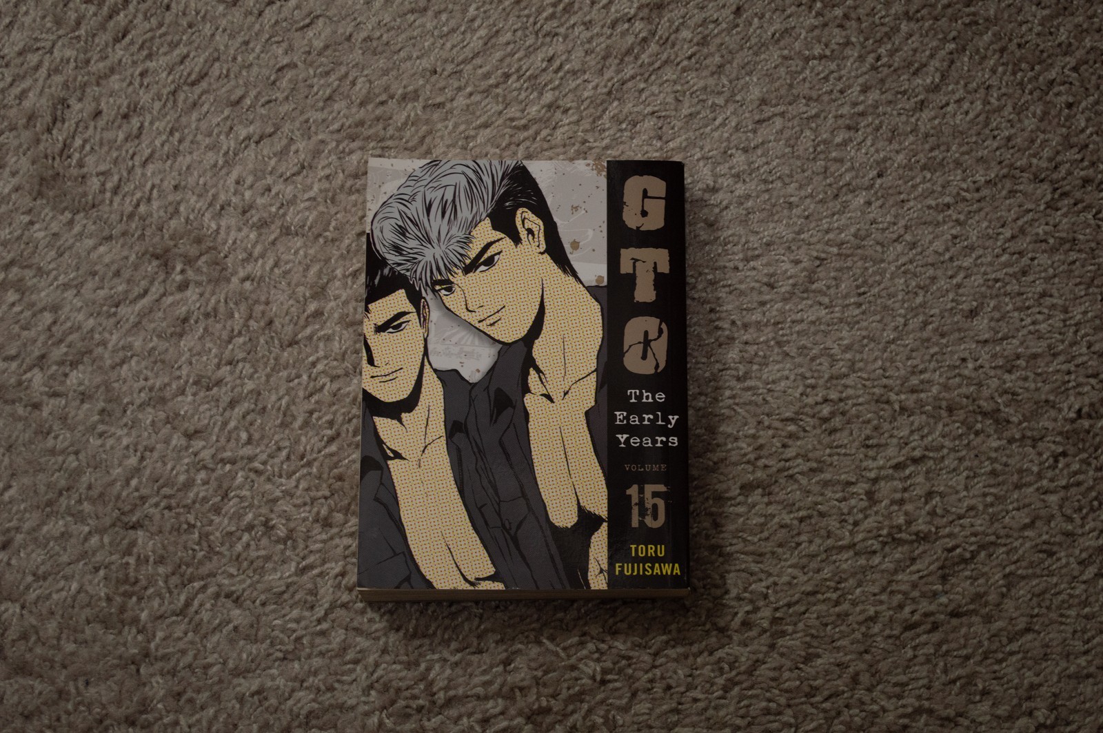 GTO The Early Years: Volume 15 Toru Fujisawa OOP Manga Good Condition