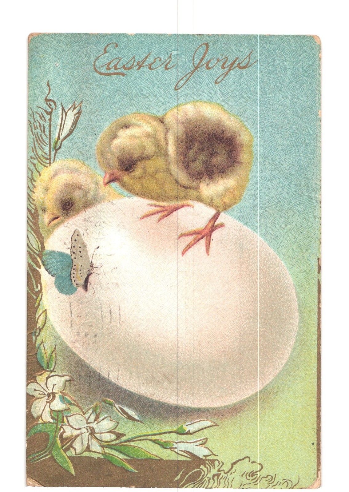 Easter Joys Postcard 1913 Chicks Egg Butterfly Flowers Marlboro MA Posted Easter Joys Postcard 1913 Chicks Egg Butterfly Flowers Marlboro MA Posted