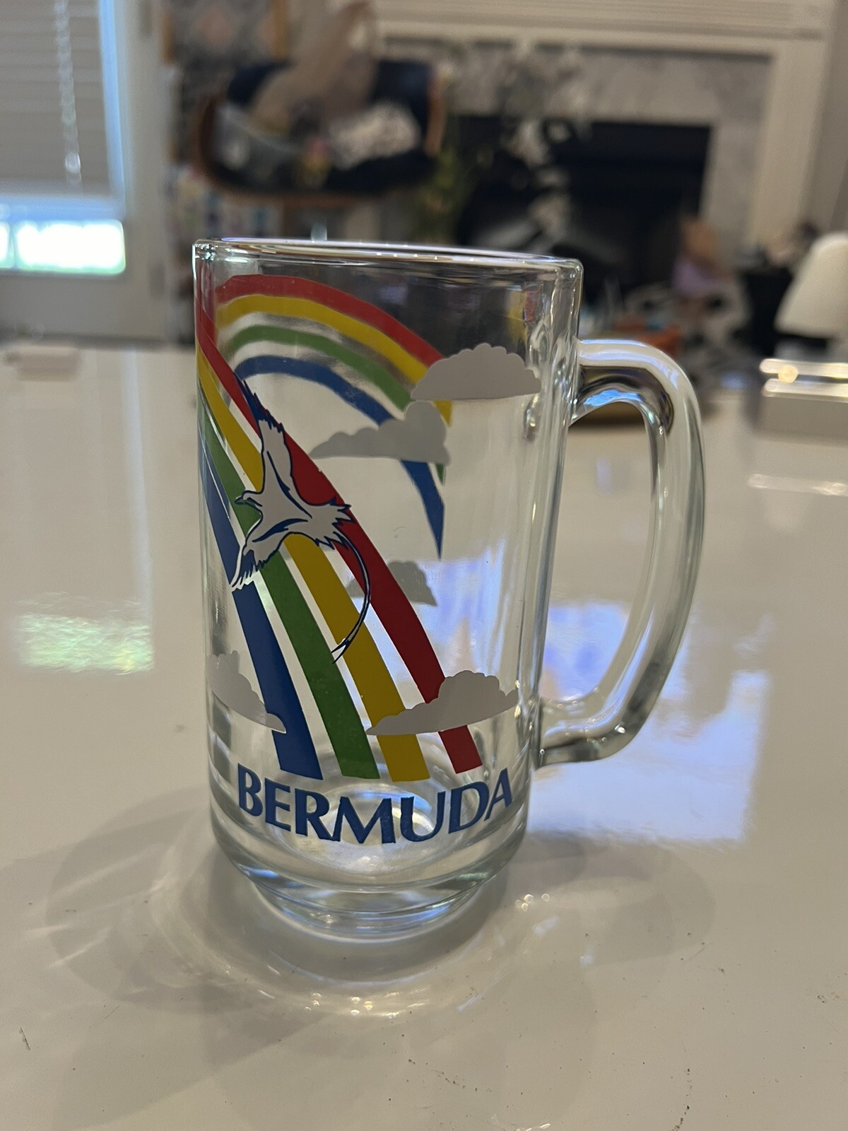 BERMUDA Rainbow Glass Cup