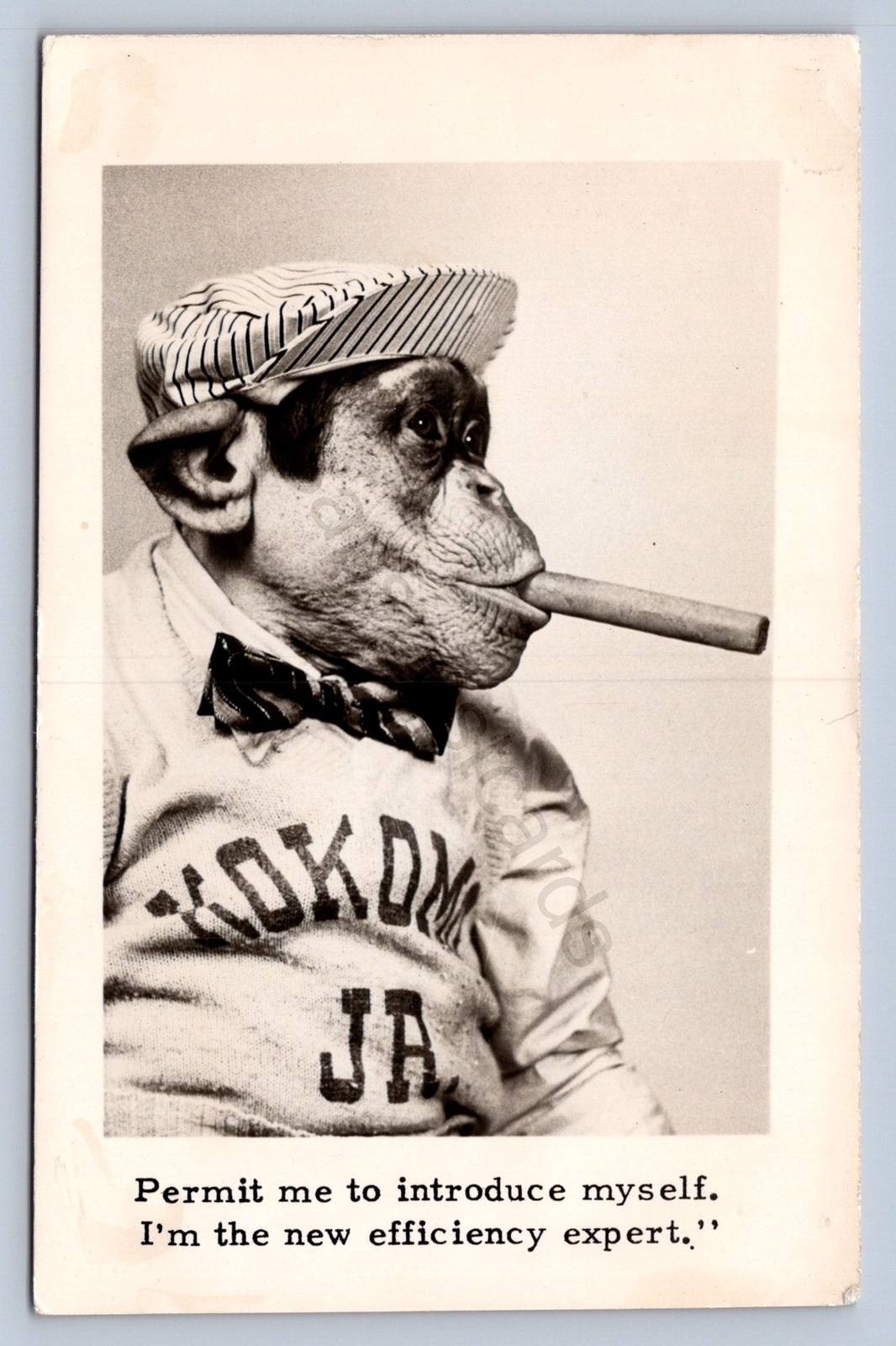 K9/ Kokomo RPPC Postcard c1940s talking Monkey Dressed Cigar Side Show 481