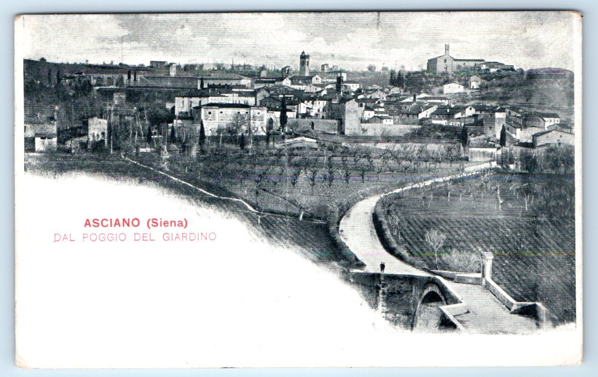 Asciano Siena Dal Poggio del Giardino ITALY UDB Postcard