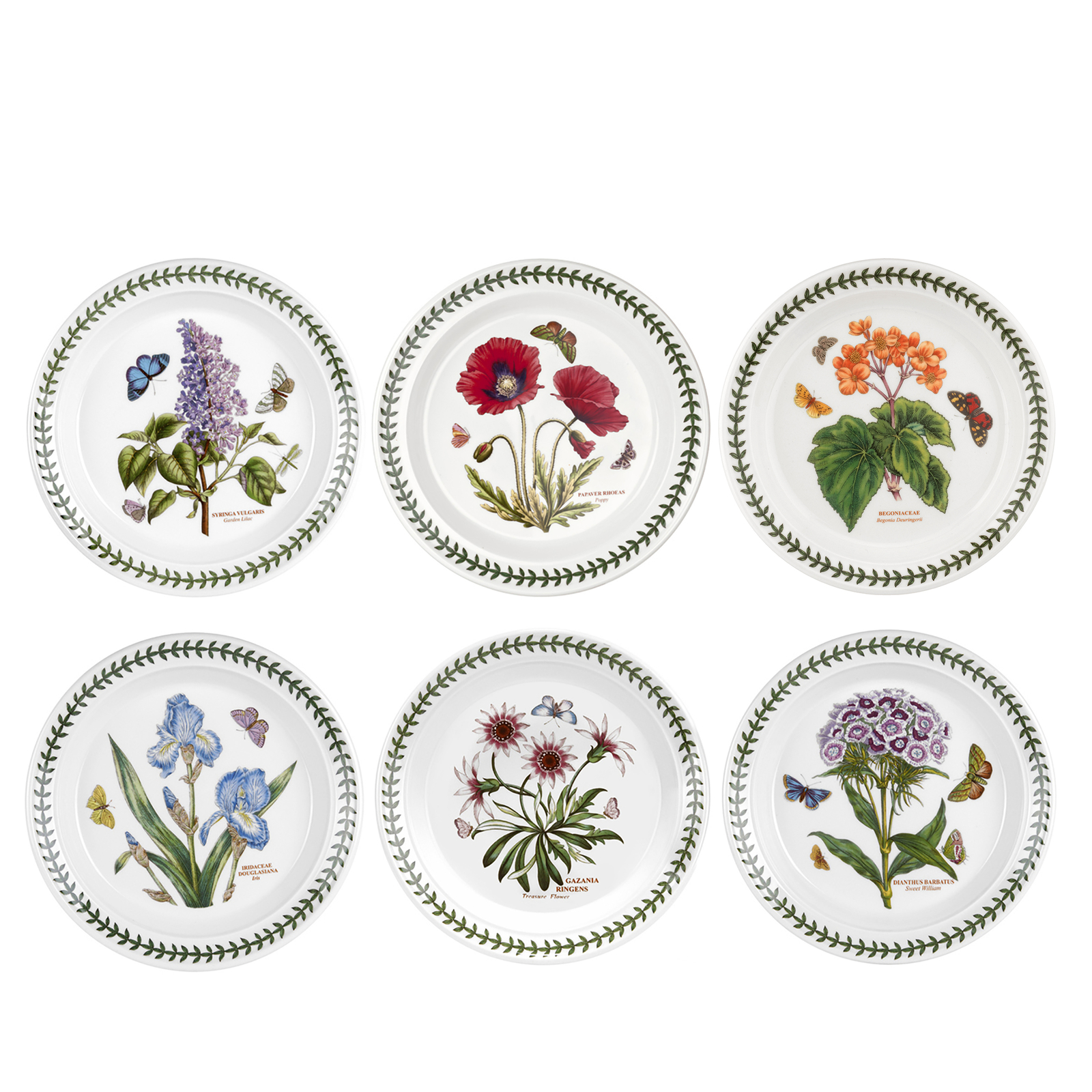 Portmeirion Botanic Garden 8.5 Inch Salad Plates, Set of 6 - Assorted Motifs