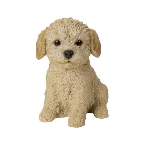 H13344 [Sitting toy poodle (large)]