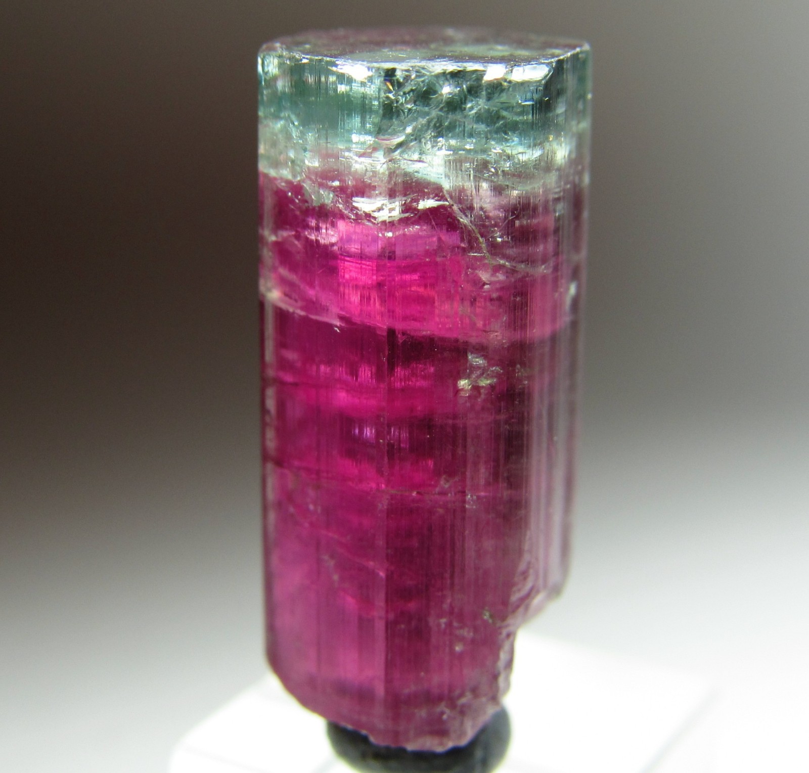 SPECTACULAR VIBRANT BLUE CAP GEM TOURMALINE CRYSTAL PEDERNEIRA  MINE BRAZIL 