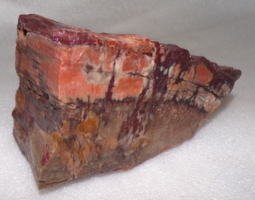 Nice Natural Art Petrified Wood Northern AZ Chinle Formation 2 Lb 1 oz