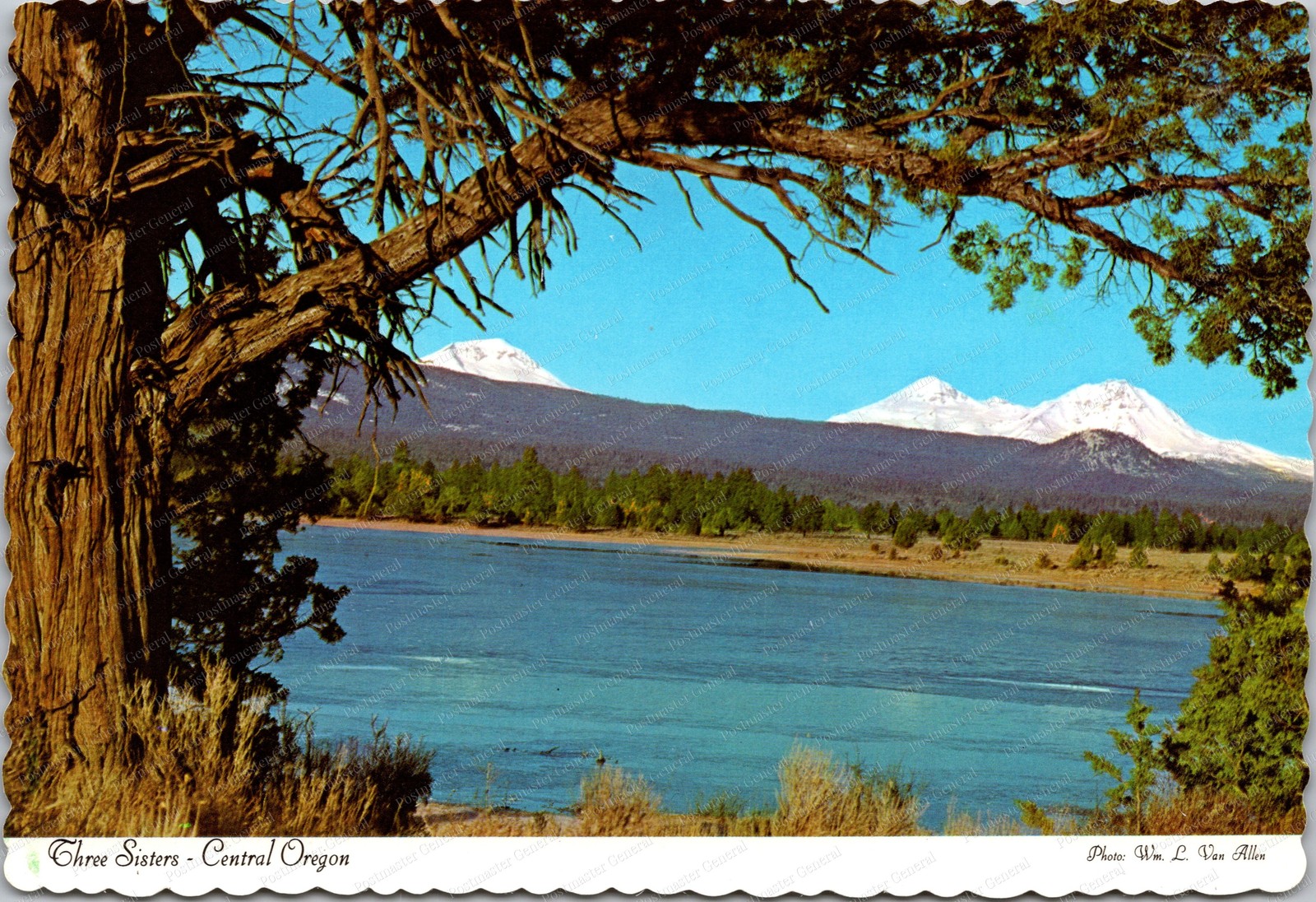 Central Oregon Three Sisters Mountains Landscape Continental Postcard C435 Central Oregon Three Sisters Mountains Landscape Continental Postcard C435