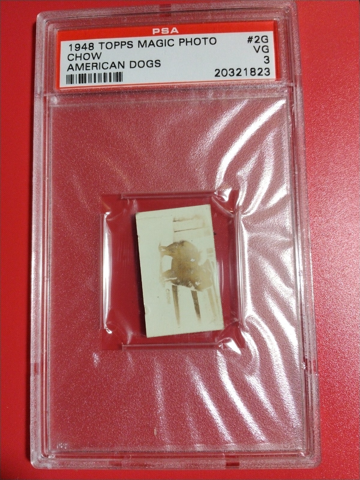 1948 Topps Magic Photo American Dogs #2G Chow PSA 3. Nice