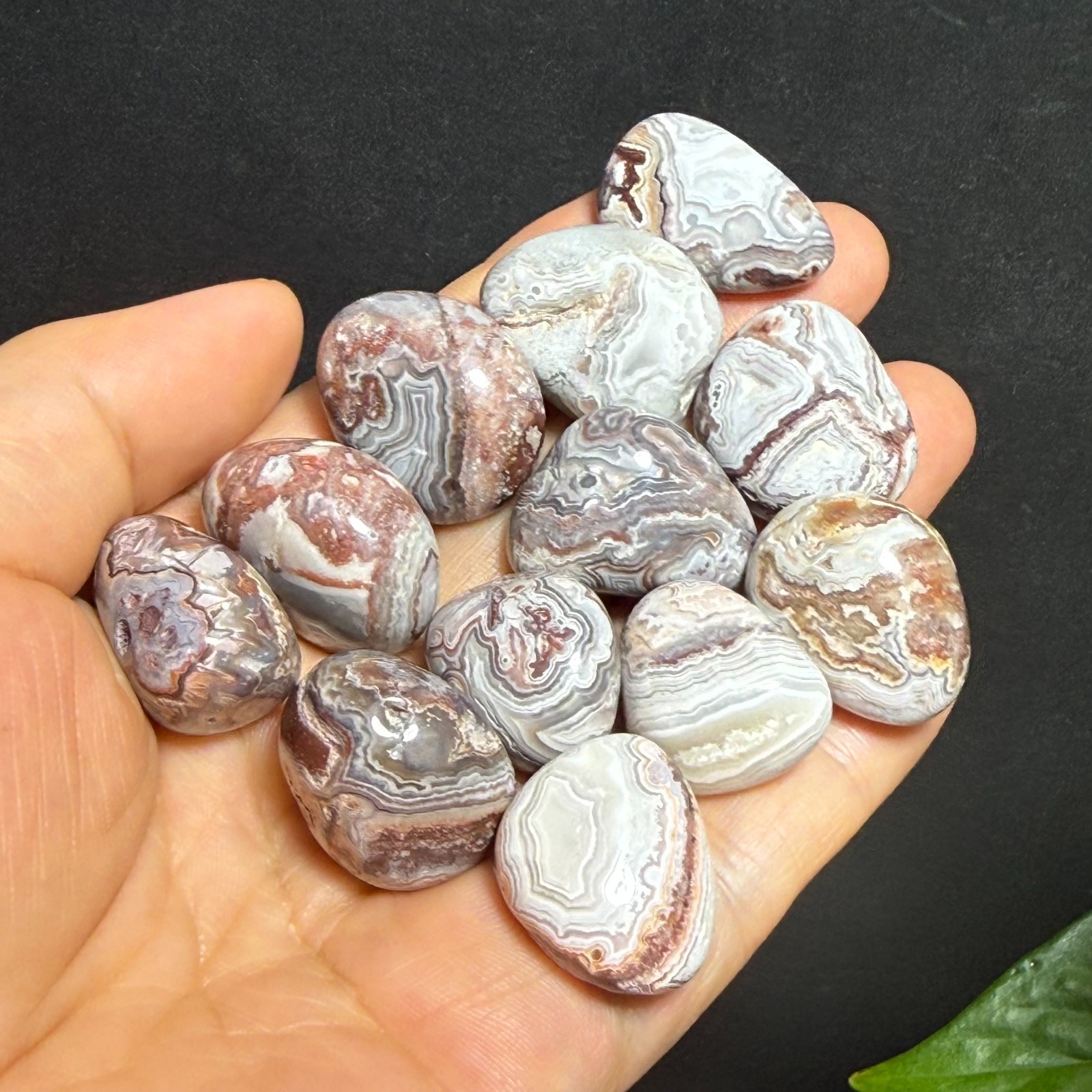 102g 12Pcs Natural Mexican agate Crystal gemstone Tumbled Specimen 07
