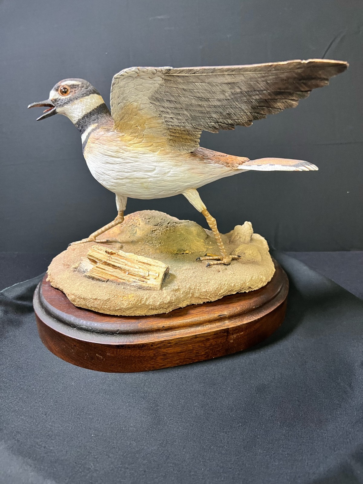 Ed Otwell Hand Carved Killdeer Bird Wings Spread Walnut Base EO-357 1990