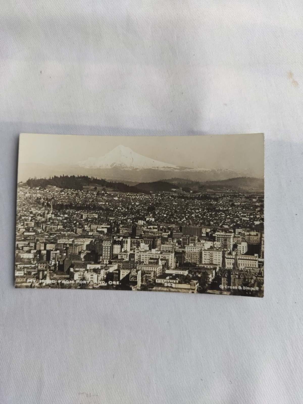Mt. Hood From Portland Oregon Collectible Post Card Cross & Dimmitt #563