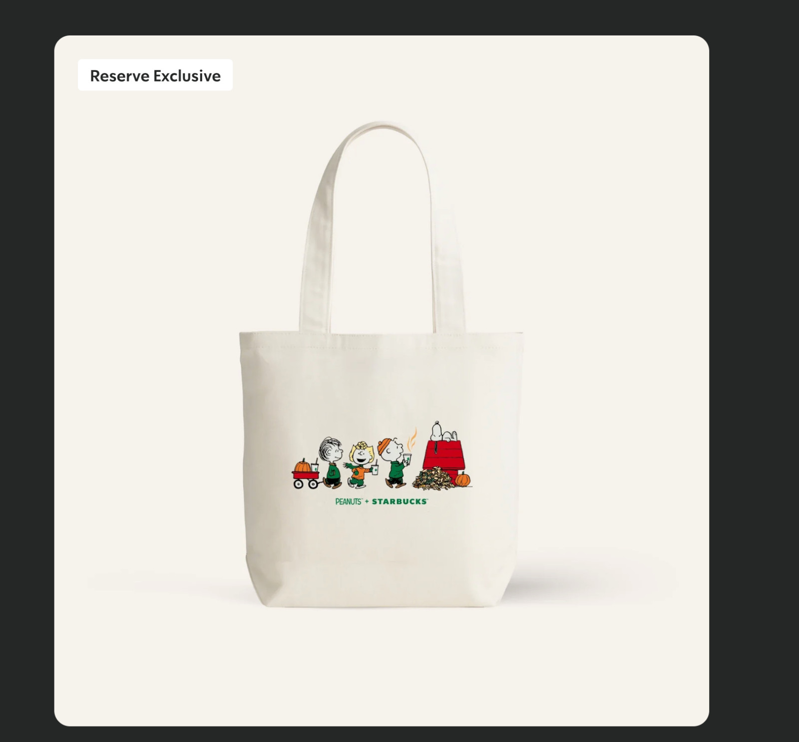 Starbucks SNOOPY Peanuts Pumpkin Canvas RARE Tote Bag IN HAND Starbucks SNOOPY Peanuts Pumpkin Canvas RARE Tote Bag IN HAND
