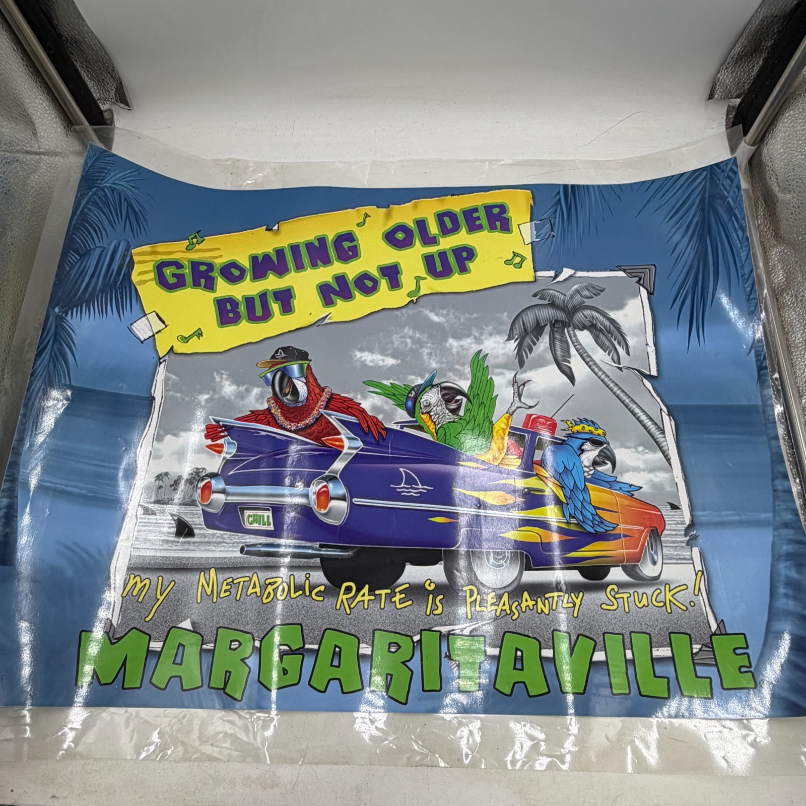 VTG Jimmy Buffett Growing Older But Not Up Poster 18x24 Margaritaville LAMINATED
