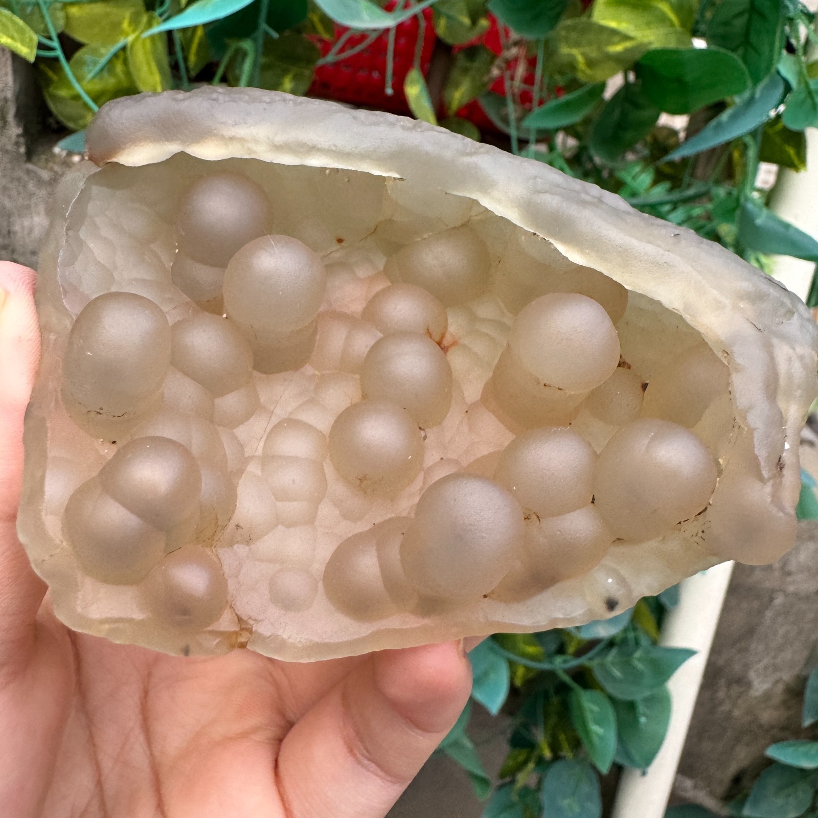155g Natural Gobi Channel Fill Deposit Agate Stone Crystal Rough Mineral
