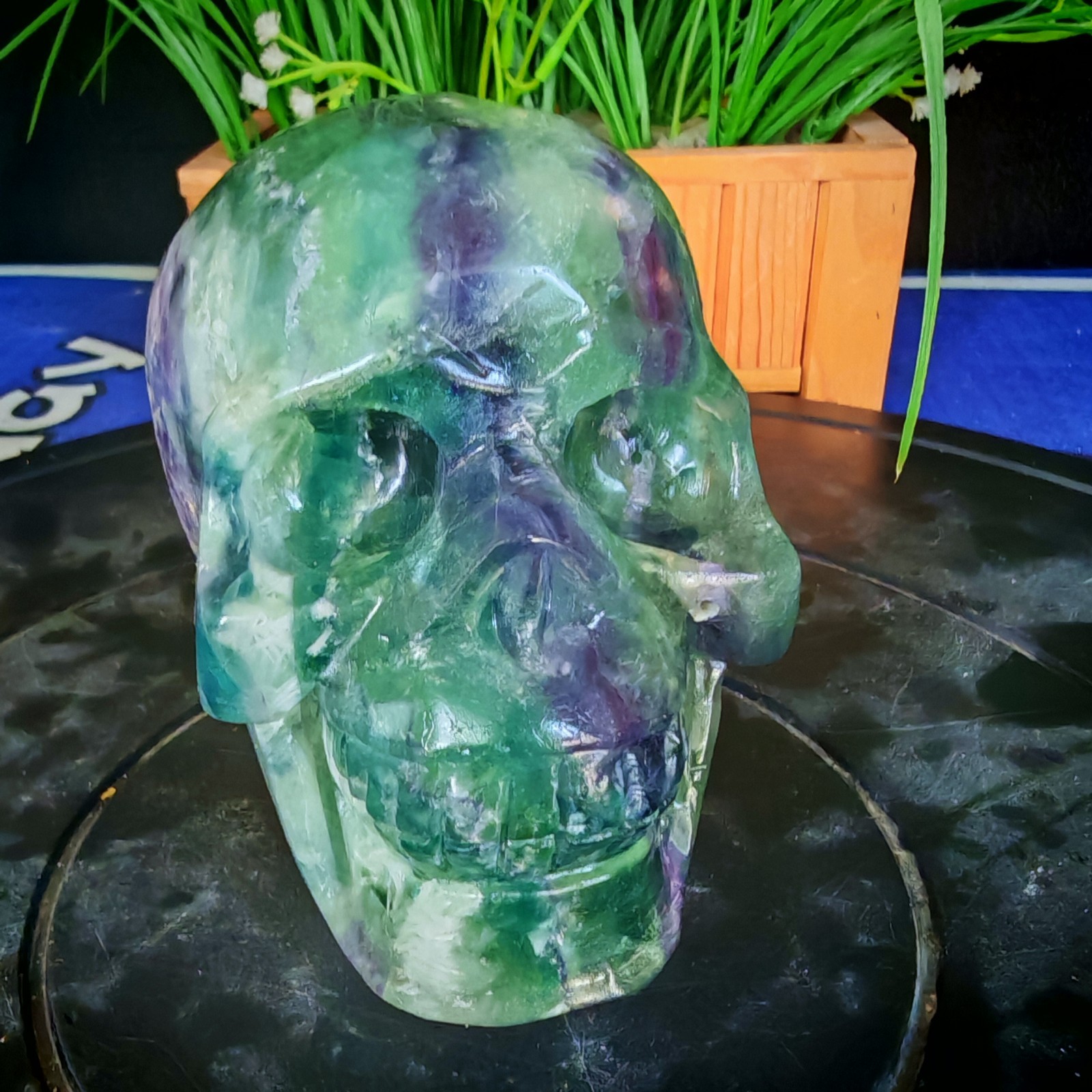 3.08LB TOP Natural Fluorite quartz skull crystal Hand-carved ornament healing